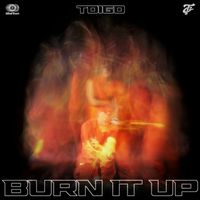 Toigo - BURN IT UP