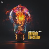 Freaky DJs - Somewhere In The Shadow