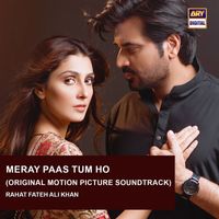 Rahat Fateh Ali Khan - Meray Pass Tum Ho (Original Motion Picture Soundtrack)