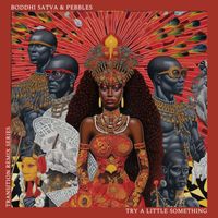 Boddhi Satva - Try A Little Something (Ancestral Soul Mixes)