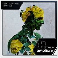 Soul Alchemist - Consuelo