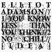Elliot Adamson - You Know Less Than You Think // No Chill