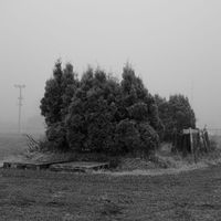 Trym Søvdsnes - Trym Søvdsnes