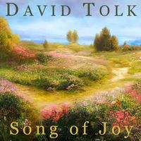 David Tolk - Song of Joy