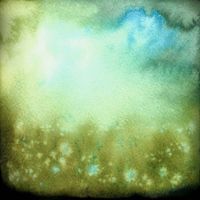 Jessica Gallo - Wildflowers