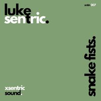 Luke Sentric - Snake Fists