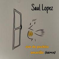 Saul Lopez - Ave de Pechito Amarillo (Remix)