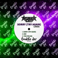 Astro-Cat - Sorry (Try Again) (Original Mix)