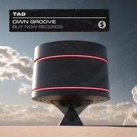 Tad - Own Groove