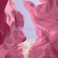 Into the Bliss - Opening