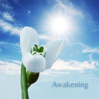 NG - Awakening
