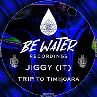 Jiggy (IT) - Trip To Timișoara