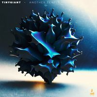 TINYgiant - Another Temple