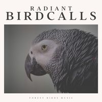 Life Sounds Nature - Radiant Birdcalls