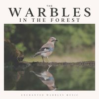 Forest Sounds - The Warbles in the Forest