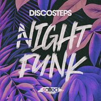 Discosteps - Night Funk