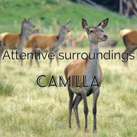 Camilla - Attentive surroundings