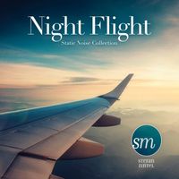 Stefan Zintel - Night Flight (Static Noise Collection)