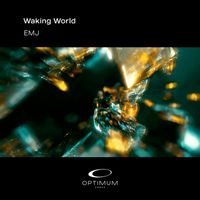 Emj - Waking World