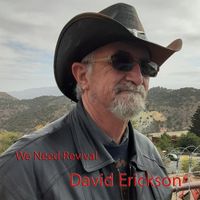 David Erickson - We Need Revival