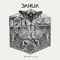 Dahlia - Monolith