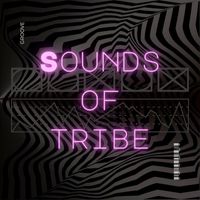 Ilan Cintra - Sounds of Tribe