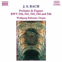 Wolfgang Rübsam - J.S. Bach.: Preludes and Fugues BWV 536, 541, 542, 544 & 546
