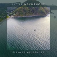 Little Symphony - Playa La Manzanilla