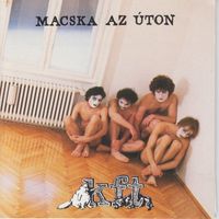 KFT - Macska Az Úton