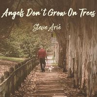 Steve Arié - Angels Don't Grow on Trees