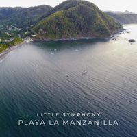 Little Symphony - Playa La Manzanilla