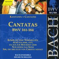 Helmuth Rilling - Bach, J.S.: Cantatas, Bwv 161-164
