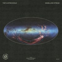 The Floating Whale & Disruptive LoFi - Magellanic Stream