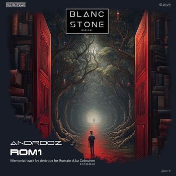Androoz - Rom1