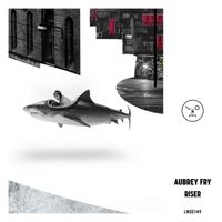 Aubrey Fry - Riser EP