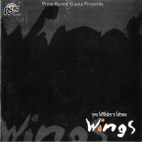 Wings - Wings