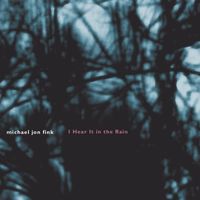 Michael Jon Fink - Fink: I Hear it in the Rain
