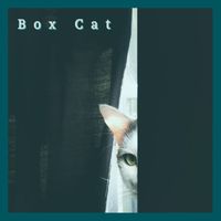 deeplastik - Box cat (Remastered)