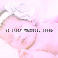 Sleep Baby Sleep - 36 Truly Tranquil Sound
