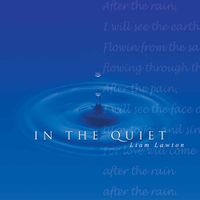 Liam Lawton - In the Quiet