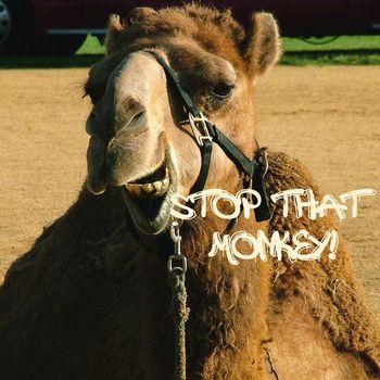 Neil Murray7 - Stop That Monkey!