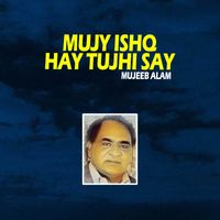 Mujeeb Alam - Mujy Ishq Hay Tujhi Say