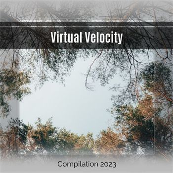 Various Artists - Virtual Velocity