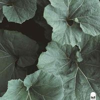 Fthmlss - Pluviophile