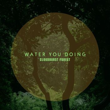 Cloudburst Forest - Water You Doing