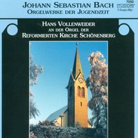Hans Vollenweider - Bach, J.S.: Organ Music - Bwv 553-560, 570, 711, 715, 716, 744