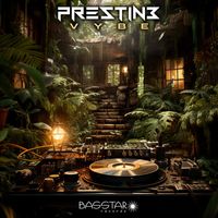 Prestin3 - Vybe