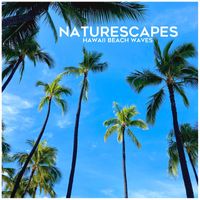 Naturescapes - Hawaii Beach Waves