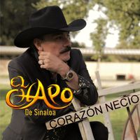 El Chapo De Sinaloa - Corazon Necio