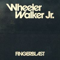 Wheeler Walker Jr. - Fingerblast (Explicit)